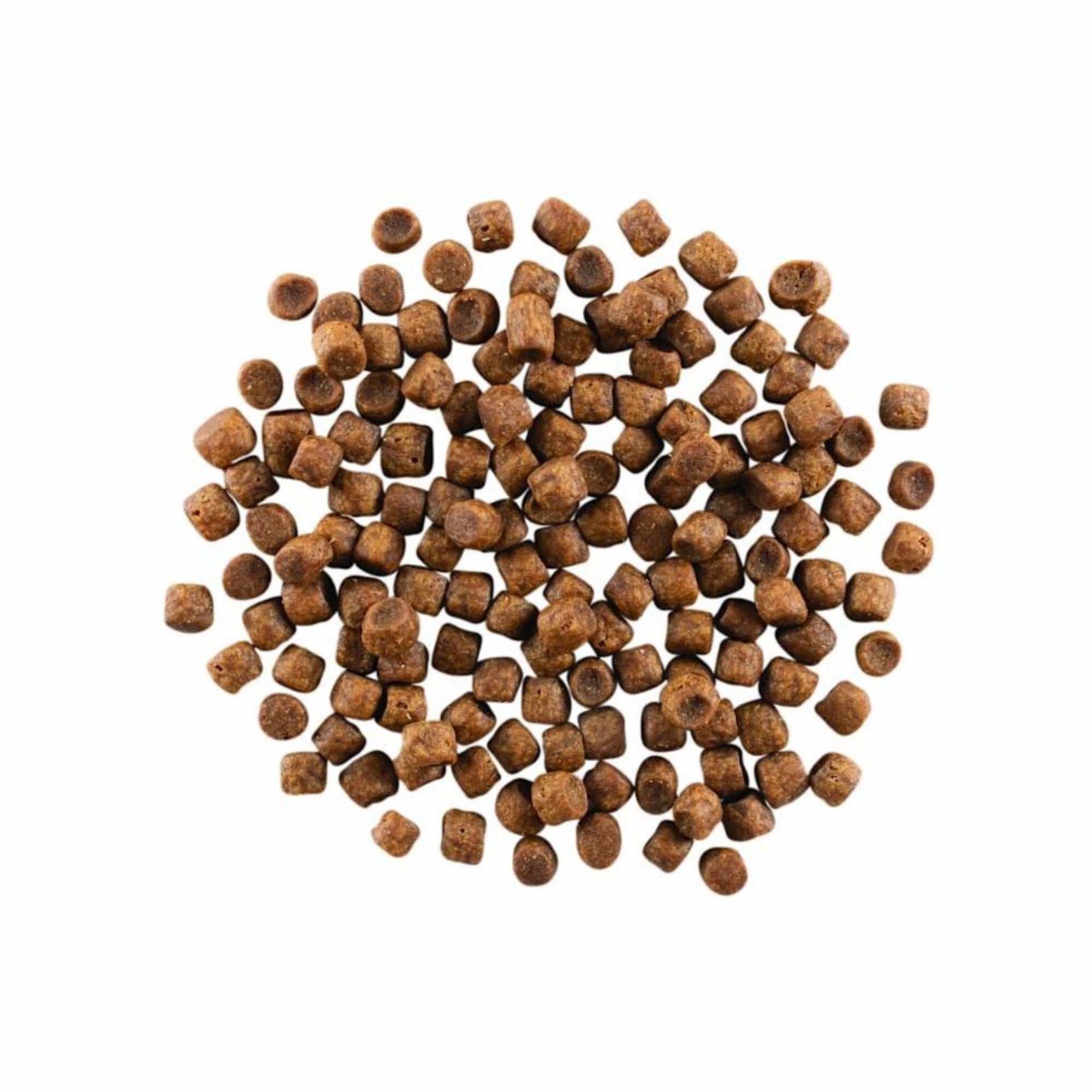 Go! Cat Carnivore Grain Free Chicken, Turkey & Duck 8Lb