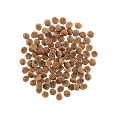 Go! Cat Carnivore Grain Free Salmon & Cod 8Lb