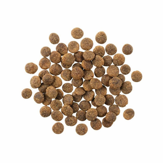 Go! Dog Sensitivities Limited Ingredient Grain Free Lamb 22Lb