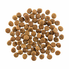 Go! Dog Skin & Coat Care Chicken With Grain 22Lb