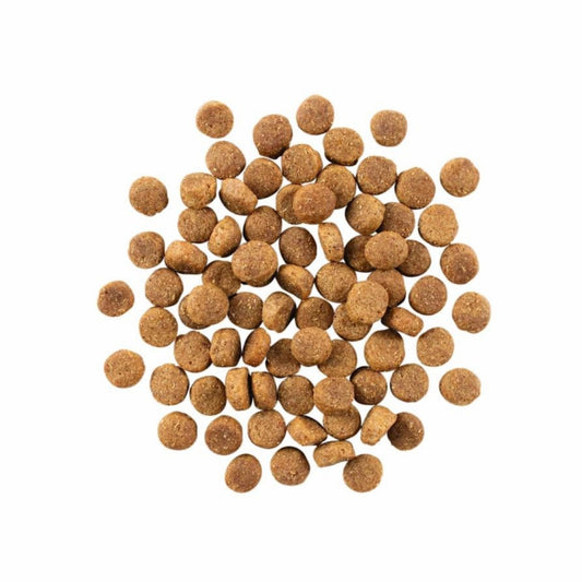 Go! Dog Skin & Coat Care Duck With Grain 22Lb