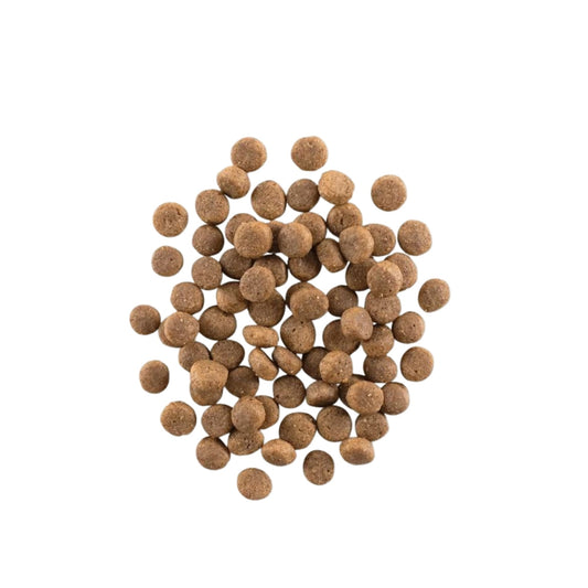 Now Fresh Dog Grain Free Puppy Turkey 22Lb