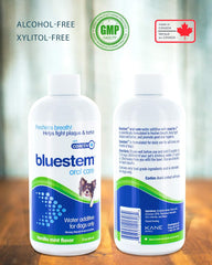 bluestem Water Addit Vanilla-Mint 17 fl oz