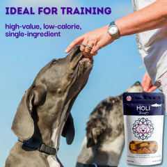 Holi Dog 3oz. Salmon