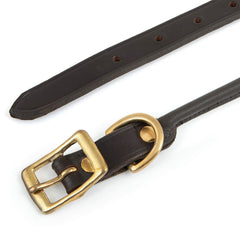 Jeffers Rolled Leather Dog Collar with Brass Hardware, Chestnut Brown - Safe Leather Design, Durable Brass Hardware, Adjustable Round Collar for Long Fur Dogs, Pairs with Leash, 5/8"W x 11"L