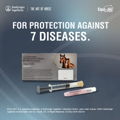 Equi-Jec 7, 1 mL