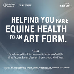 Equi-Jec 7, 1 mL