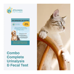 Rx Clavamox for Dogs and Cats (Amoxicillin trihydrate/clavulanate potassium) For Oral Suspension Oral Drops, 15 ml