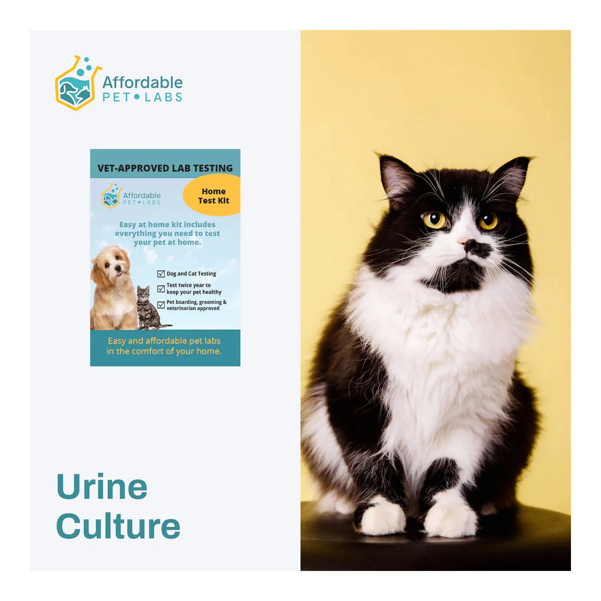 Affordable Pet Labs - Urine Culture For Cats, Easy Home Kit