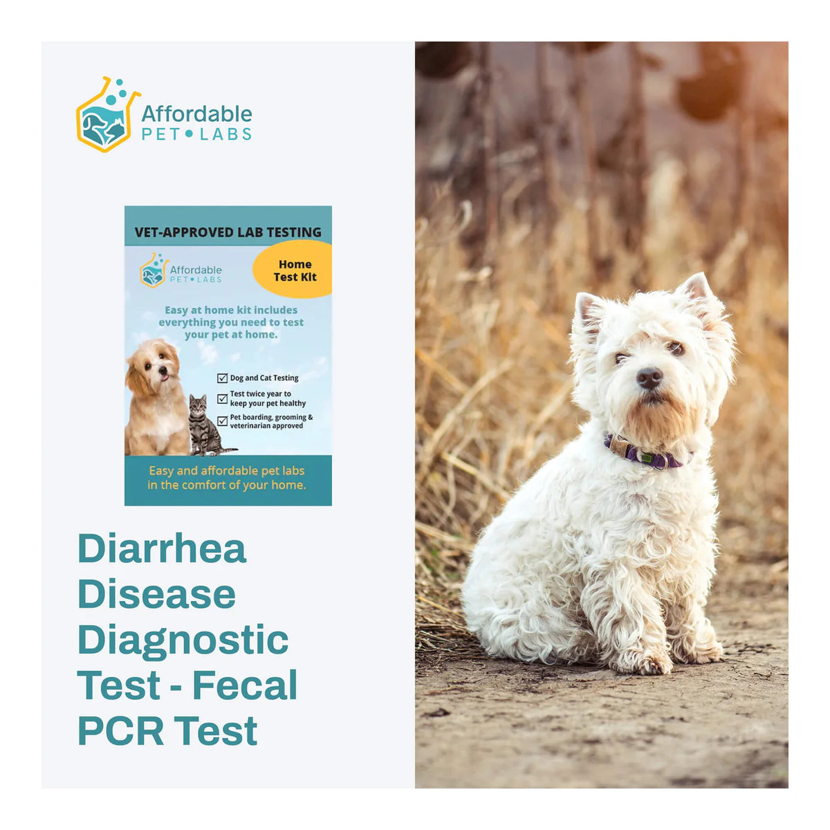 Diarrhea Disease Diagnostic Test - Fecal PCR Test For Dogs, Easy Home Kit