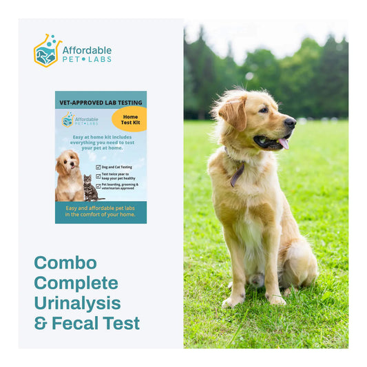 Affordable Pet Labs - Combo Complete Urinalysis & Fecal Test For Dogs, Easy Home Kit