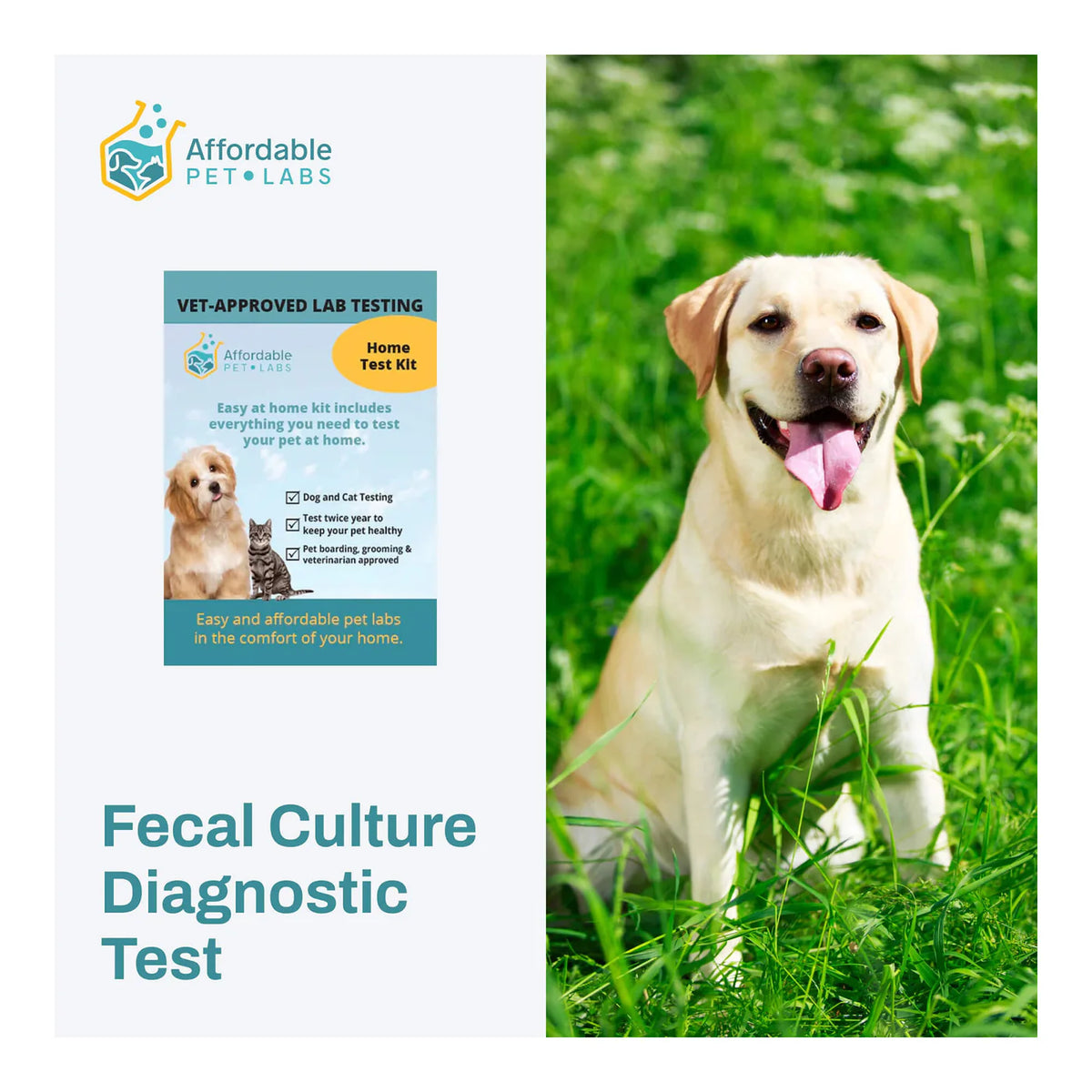 Affordable Pet Labs - Fecal Culture Diagnostic Test For Dogs, Easy Home Kit