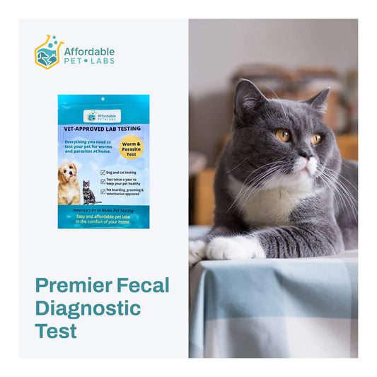 Premier Fecal Diagnostic Test For Cats, Easy Home Kit