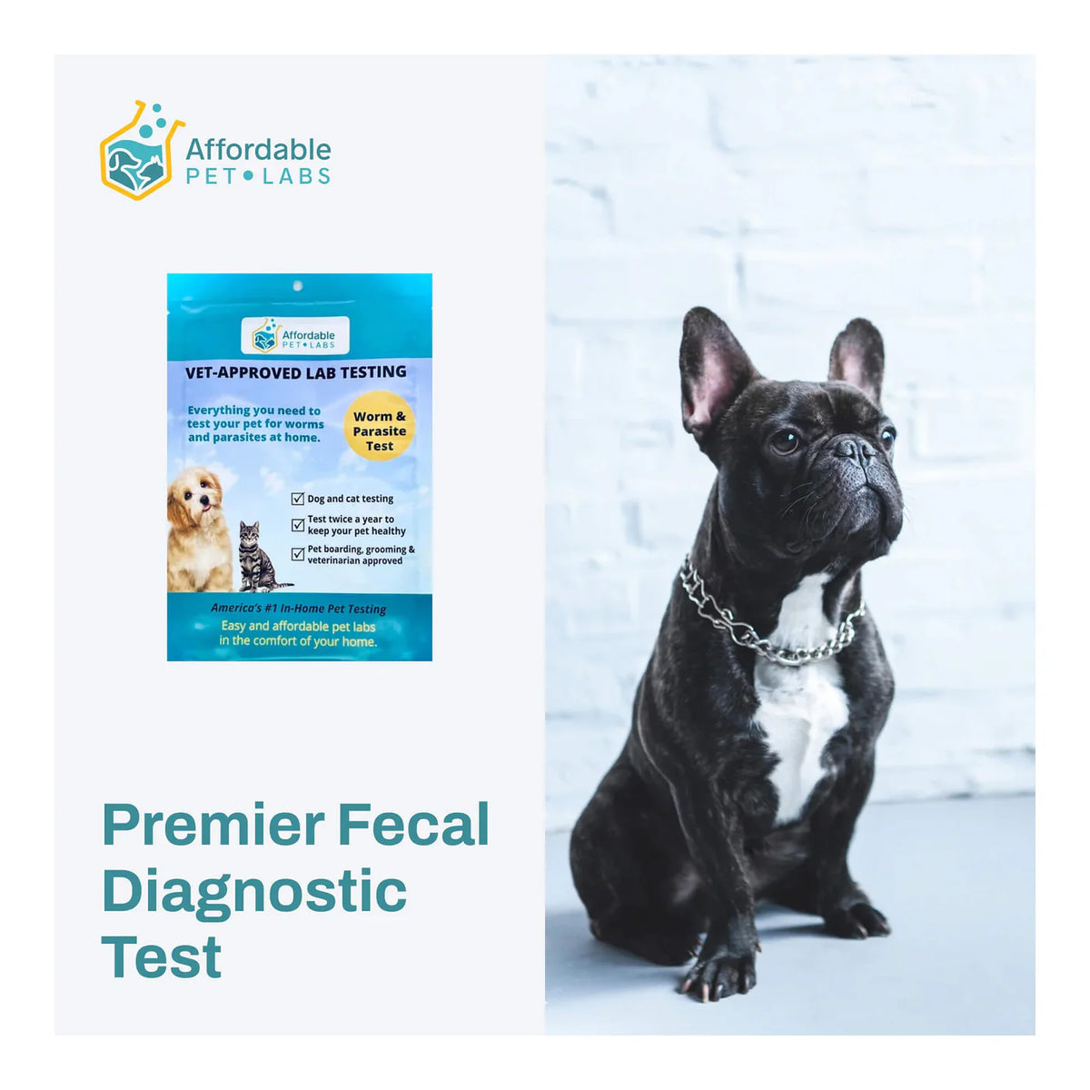 Premier Fecal Diagnostic Test For Dogs, Easy Home Kit