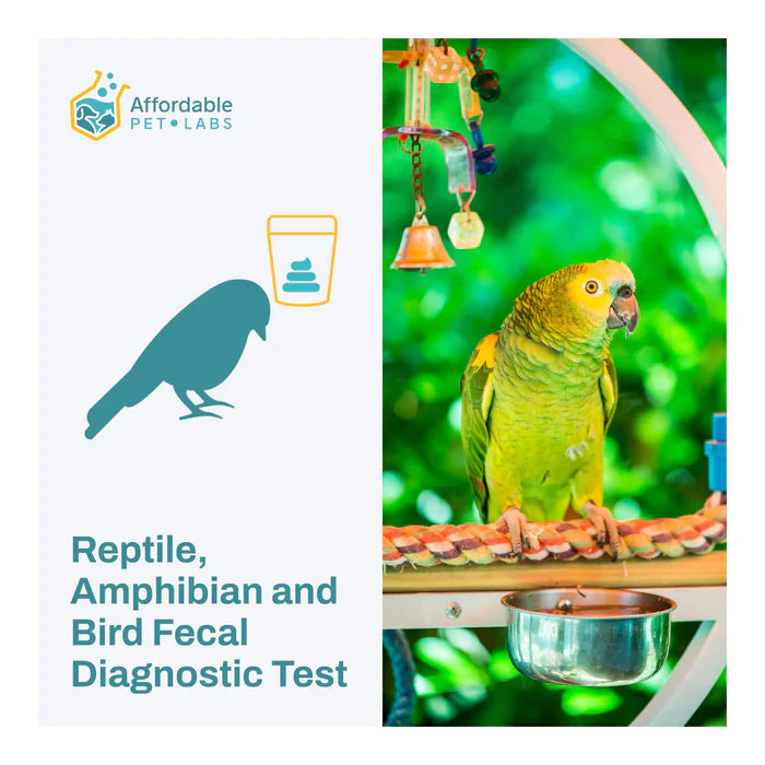 Affordable Pet Labs - Reptile, Amphibian & Bird Fecal Diagnostic Test, Easy Home Kit