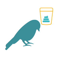 Affordable Pet Labs - Reptile, Amphibian & Bird Fecal Diagnostic Test, Easy Home Kit