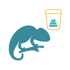 Affordable Pet Labs - Reptile, Amphibian & Bird Fecal Diagnostic Test, Easy Home Kit