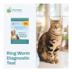 Affordable Pet Labs Ring Worm Diagnostic Test For Cats Easy Home Collection Kit