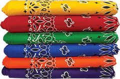 BANDANNA Paisley Asst Primary 12pk