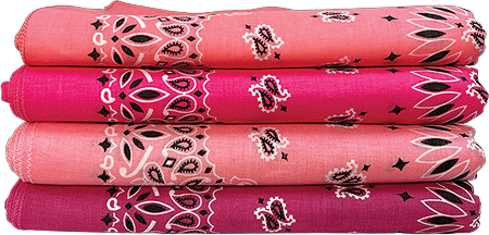 BANDANNA Paisley Asst Primary 12pk