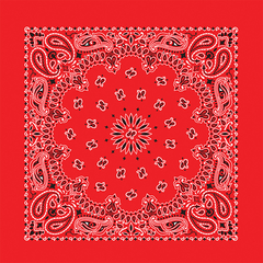 BANDANNA Paisley Red 12pk