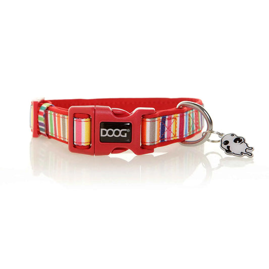 DOOG Neoprene Dog Collar Scooby Small Red/Rainbow – COLMCS-S