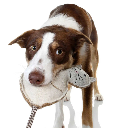 DOOG Country Tails Cat Chew Toy White 7.08″ x 1.18″ x 2.3″ – CTA15