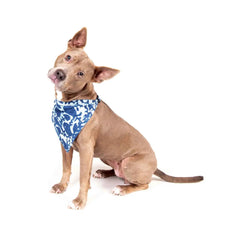 DGS Pet Products Unbugz-It Bandana Large Square Blue 13″ x 8″ x 0.1″ – DGSBNDUSQL01
