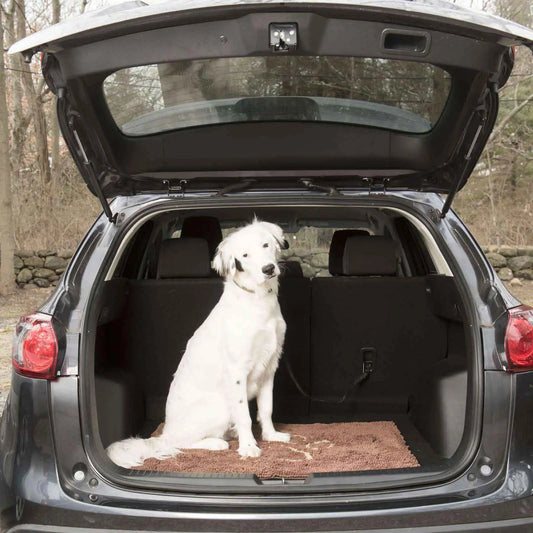 DGS Pet Products Dirty Dog Door Mat Large Mocha Brown 35″ x 26″ x 2″ – DGSDDMP350370