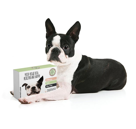 Allergy Test My Pet Canine Sensitivity Test