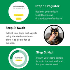 DNA My Dog Essential Breed ID Test