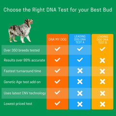 DNA My Dog Essential Breed ID Test