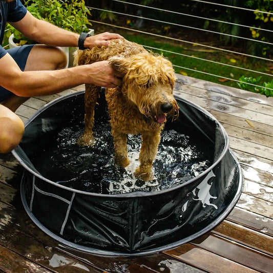 DOOG Pop-Up Dog Pool Medium Black 35.82″ x 35.82″ x 9.84″ – DPPP02