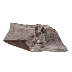 DGS Pet Products Itchy Witchy Essential Oils Blanket Medium Chocolate Truffle 30″ x 40″ x 0.5″ – DRITWTH3003