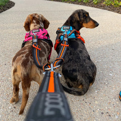 Doog Dual Walker Leash Beethoven Black/Grey/Orange – DWLEASH-BEET