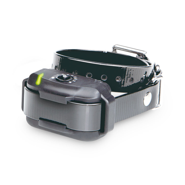 Dogtra Add-A-Collar for E-Fence 3500 – E-FENCE-3500-RX