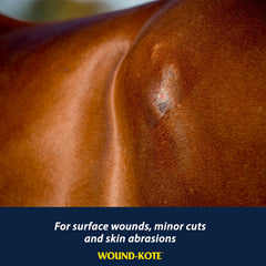 Farnam Wound-Kote Blue Lotion Spray Wound Dressing, 7 oz