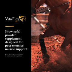Vita Flex Pro Recovery Post Performance Supplement, Single Serve packet