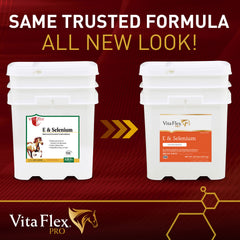 Vita Flex E and Selenium Supplement for Horses, Balanced Essential Antioxidants, 320 Day Supply