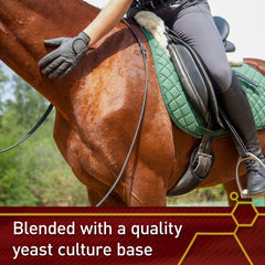 Vita Flex E and Selenium Supplement for Horses, Balanced Essential Antioxidants, 320 Day Supply