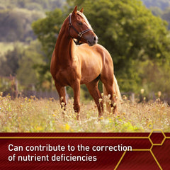 Vita Flex E and Selenium Supplement for Horses, Balanced Essential Antioxidants, 64 Day Supply