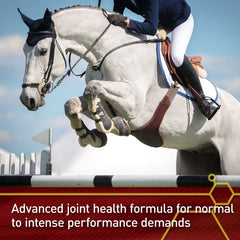 Vita Flex Equinyl Combo Joint Formula Horse Joint Supplement, 60 Day Supply