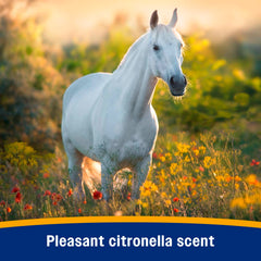 Bronco e Equine Fly Spray plus Citronella Scent, quart