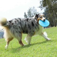 DOOG Fetch-ables Fetch-A-Disc Dog Toy Blue 8.25″ x 8.25″ x 0.25″ – FFS02