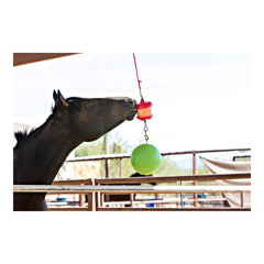 Jolly Stall Snack w/ Apple Combo