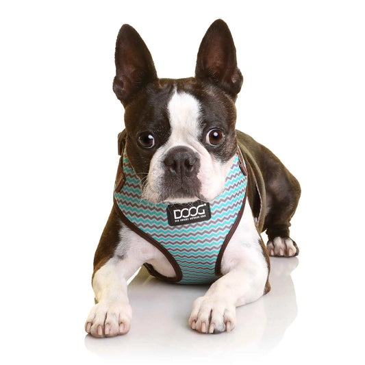 DOOG Neoflex Dog Harness Benji Medium Blue/Grey – HARBBZSOFT-M