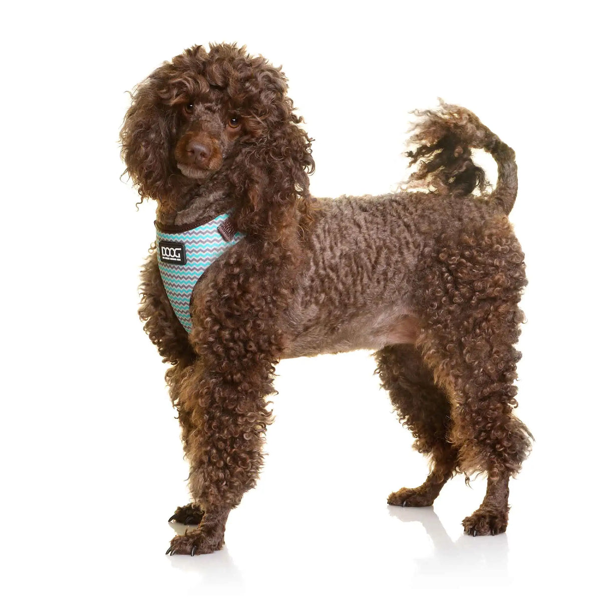 DOOG Neoflex Dog Harness Benji Large Blue/Grey – HARBBZSOFT-L