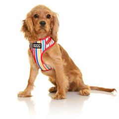 DOOG Neoflex Dog Harness Scooby Extra Small Rainbow – HARMCSSOFT-XS