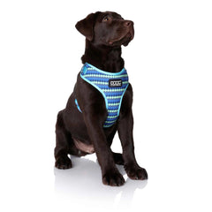 DOOG Neoflex Dog Harness Pluto Medium Blue – HARN1SOFT-M