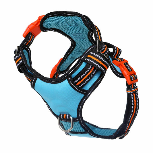 Doog Neotech Dog Harness Beethoven Extra Large Blue/Orange/Black – HARTECHBEET-XL